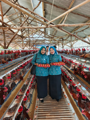 Pembinaan Tertib Administrasi PKK di Desa Pondok Udik Dimulai dengan Panen Telur Ketahanan Pangan Desa